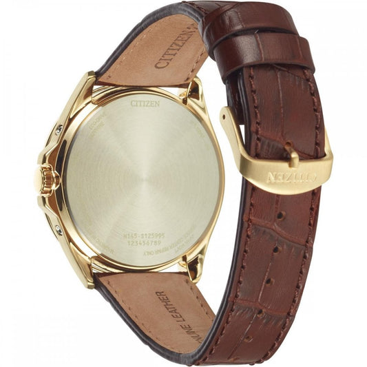 Citizen World Perpetual Time Keeping Gents Watch