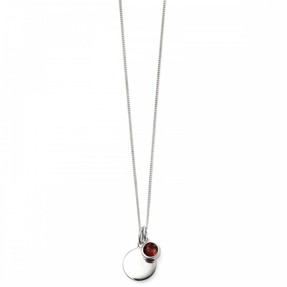 Gecko Birthstone Pendant - Jan