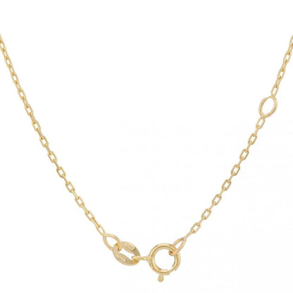 9ct Gold Oval Ruby Pendant & Chain