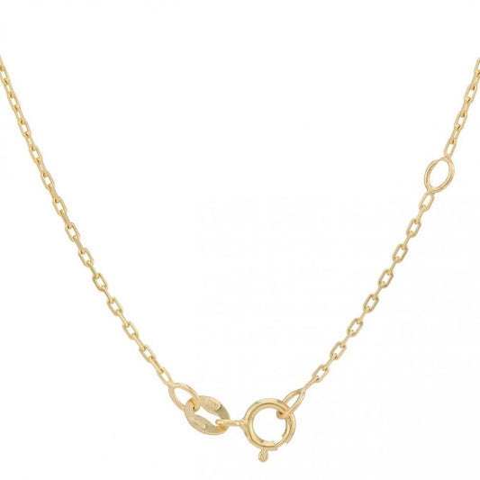 9ct Gold Oval Ruby Pendant & Chain