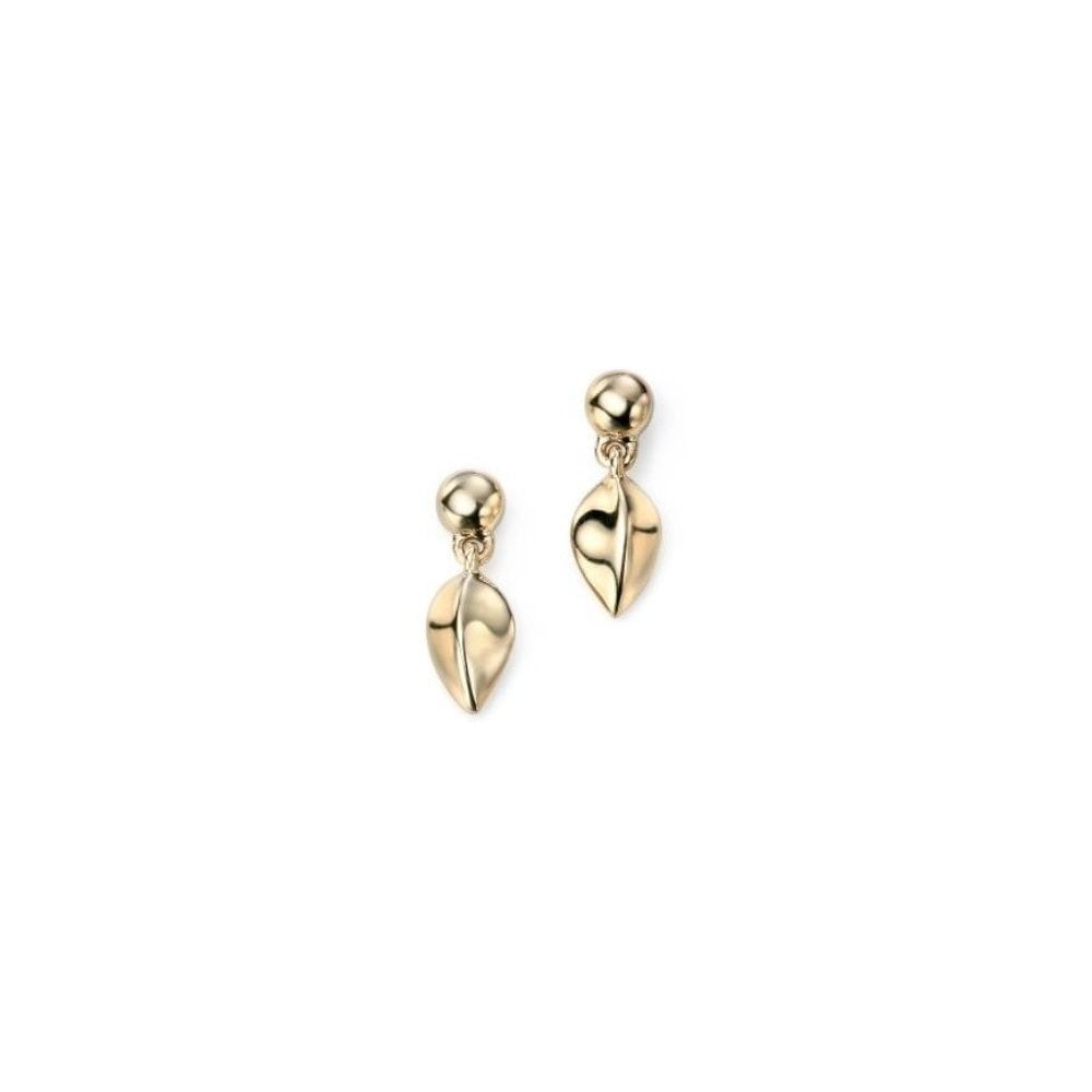 9ct Yellow Gold Leaf Earrings
