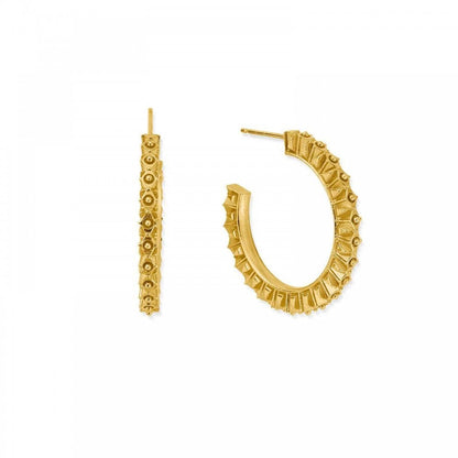 Chlobo 18ct Gold Plated Moonbeam Hoop Earrings