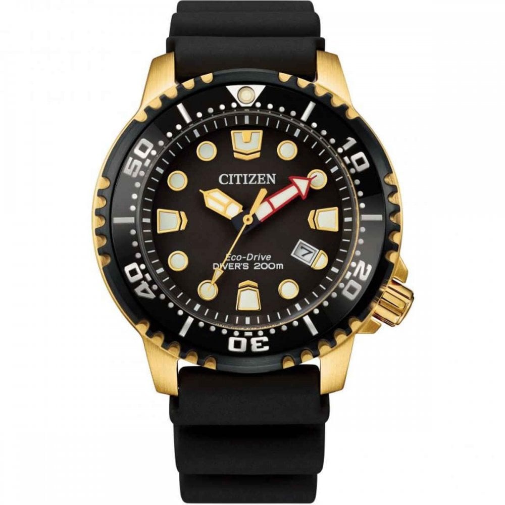 Citizen Eco-Drive Gents Promaster Diver Watch