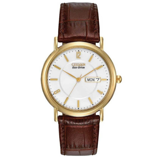Citizen Gents Eco Drive Watch