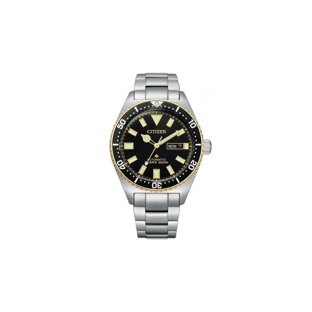 Citizen Promaster Automatic Diver Watch