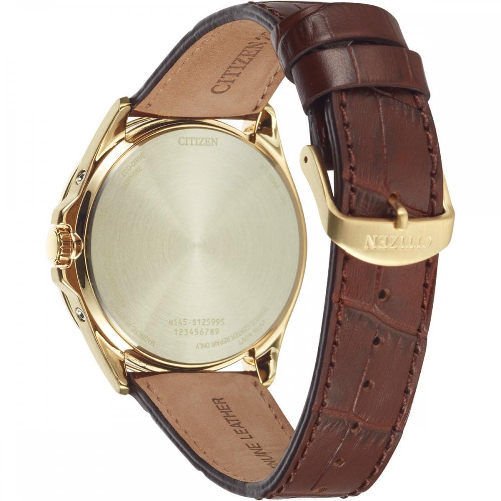 Citizen World Perpetual Time Keeping Gents Watch