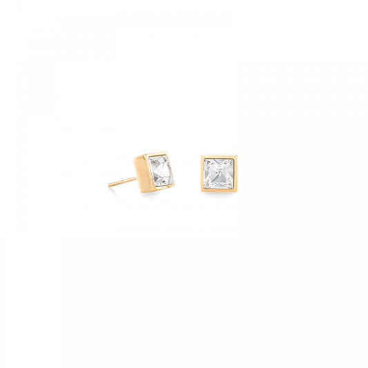 Coeur De Lion Crystal-Gold Tone Stud Earrings