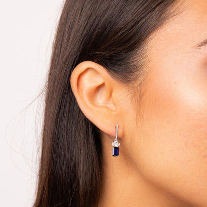 Diamonfire Sterling Silver Blue Clear Cubic Zirconia Earrings
