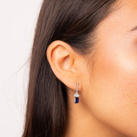 Diamonfire Sterling Silver Blue Clear Cubic Zirconia Earrings