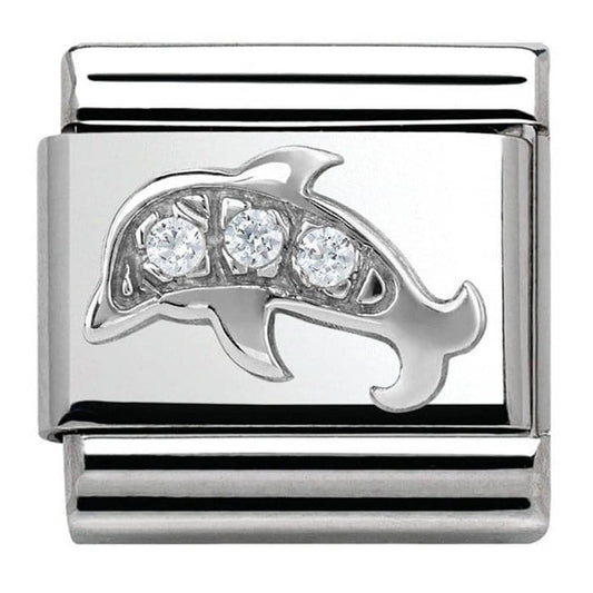 dolphin