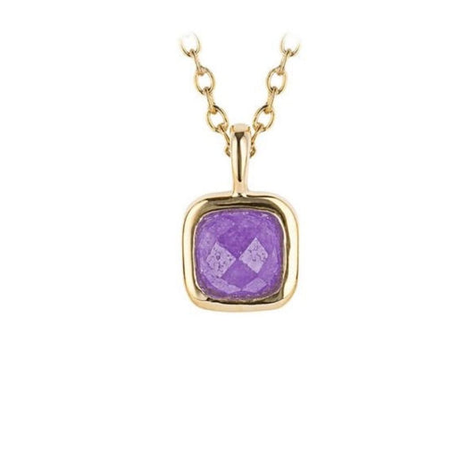 February  Semi-Precious Birthstone Necklace With Diamond Tag In Yellow Gold Plated Recycled Silver