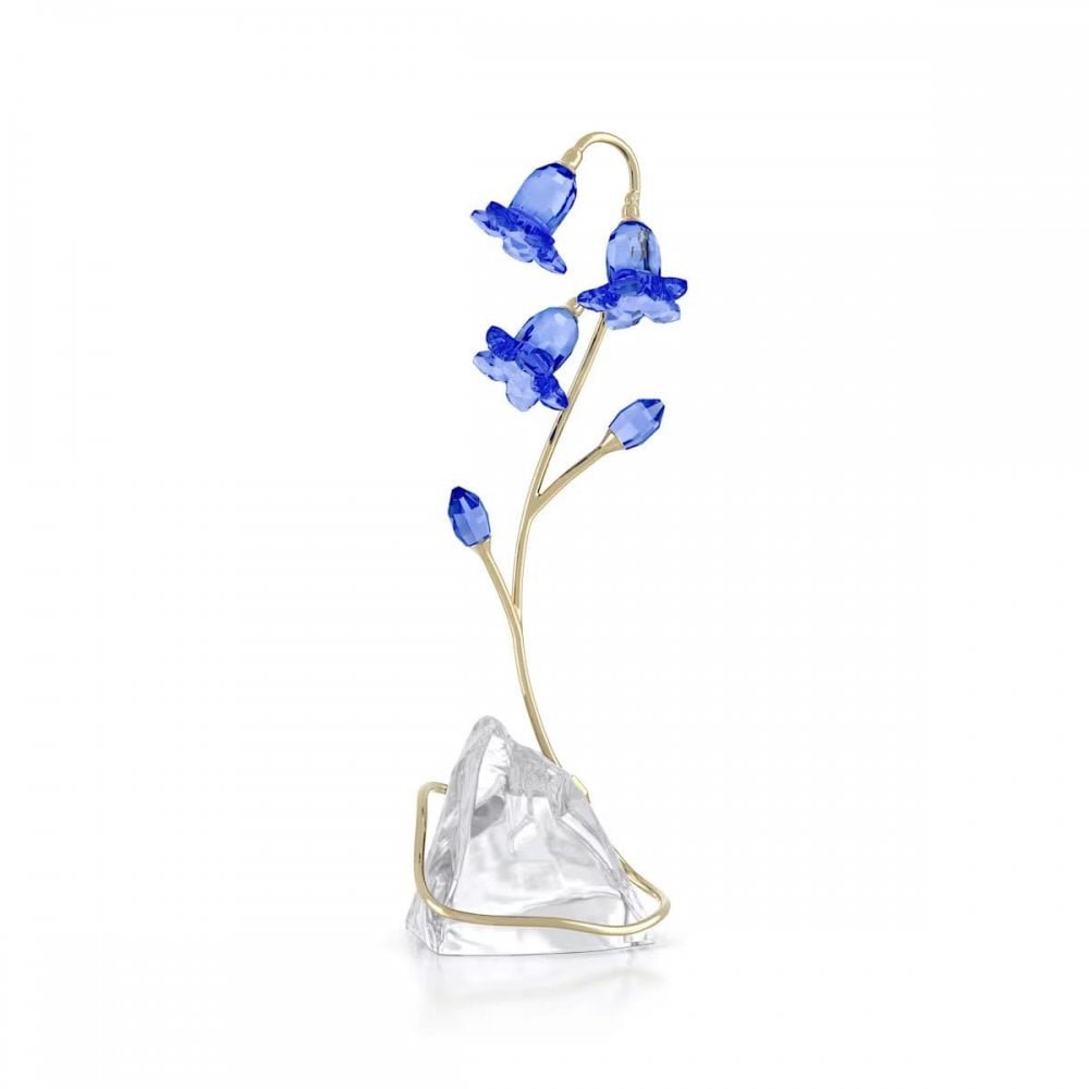 Florere Blue Bellflower