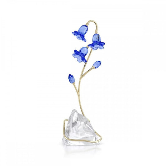 Florere Blue Bellflower