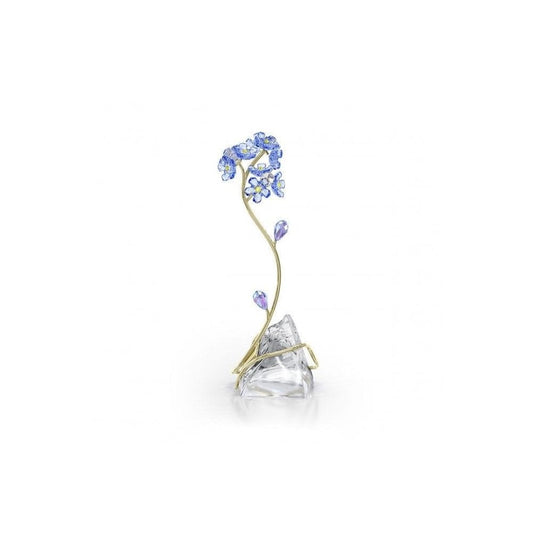 Florere Forget-Me-Not