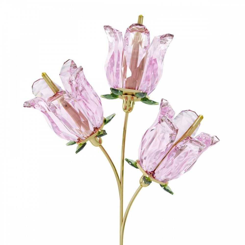 Garden Tales - Bellflower