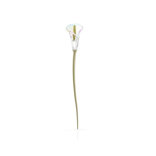 Garden Tales Calla Lily