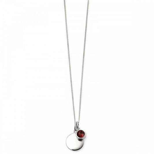 Gecko Birthstone Pendant - Jan