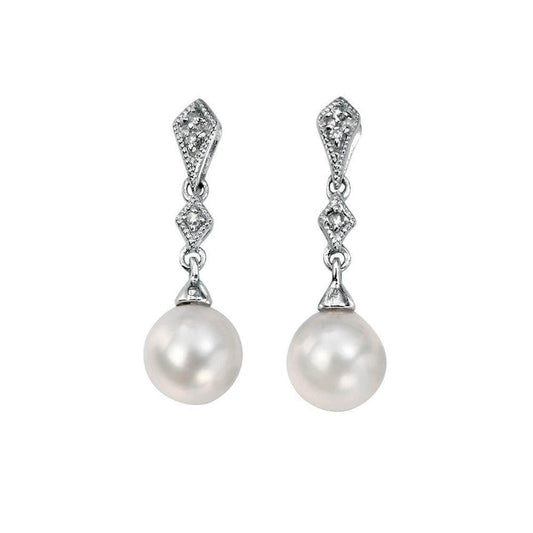 Gecko Elements 9ct Earrings