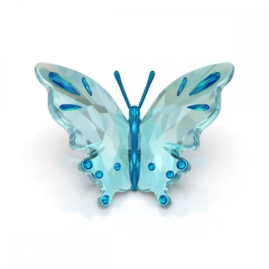 Idyllia Butterfly, Turquoise