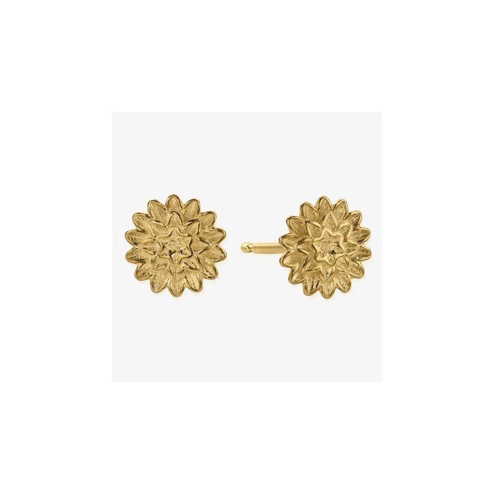 Island Energy Botanical Beauty Gold-Tone Stud Earrings