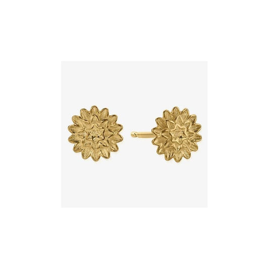 Island Energy Botanical Beauty Gold-Tone Stud Earrings