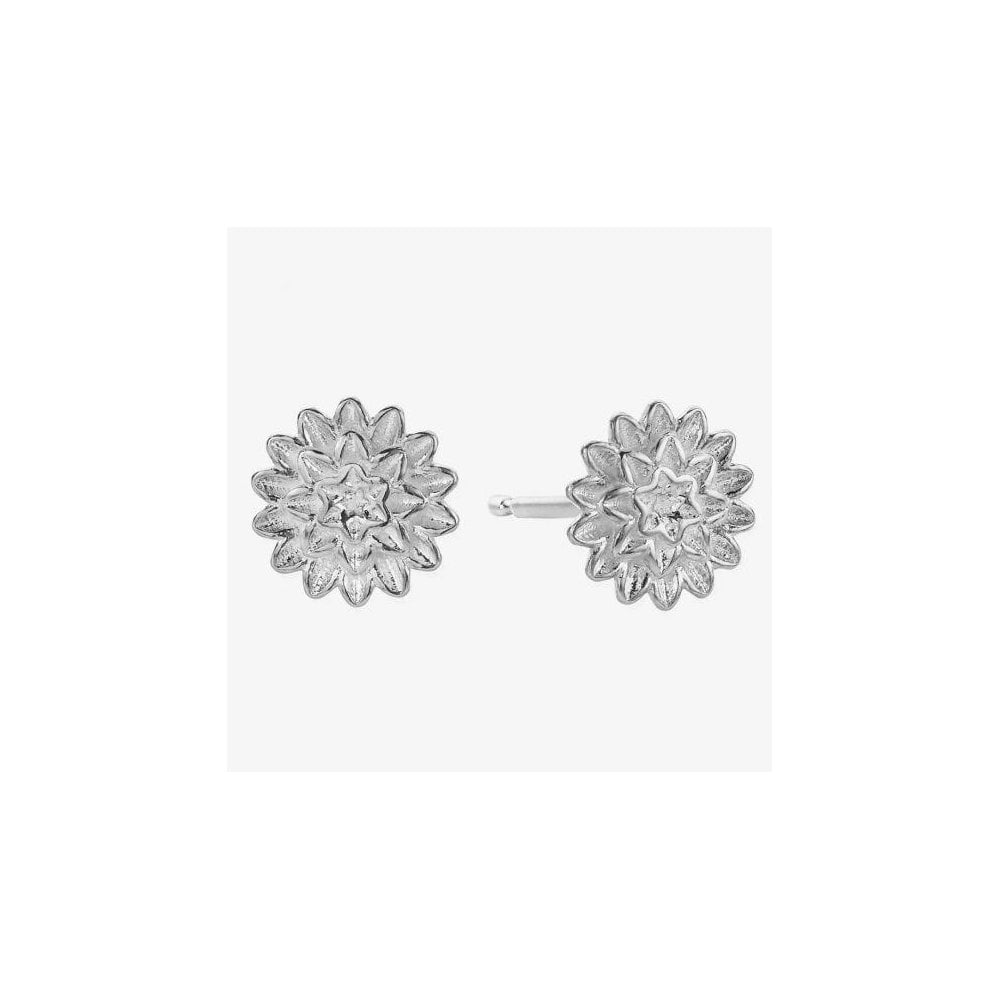 Island Energy Botanical Beauty Silver Stud Earrings