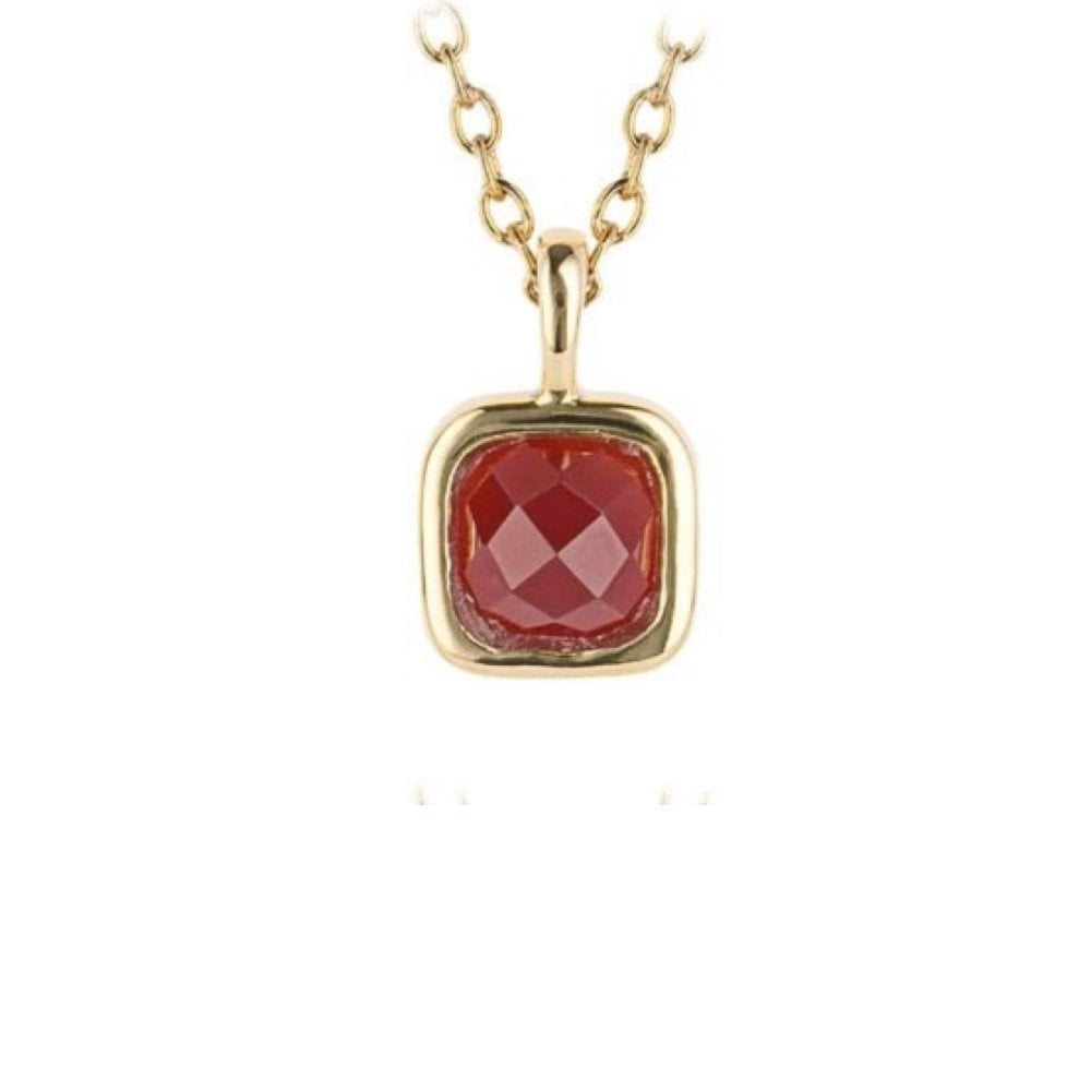 January Semi-Precious Birthstone Necklace With Diamond Tag In Yellow Gold Plated Recycled Silver