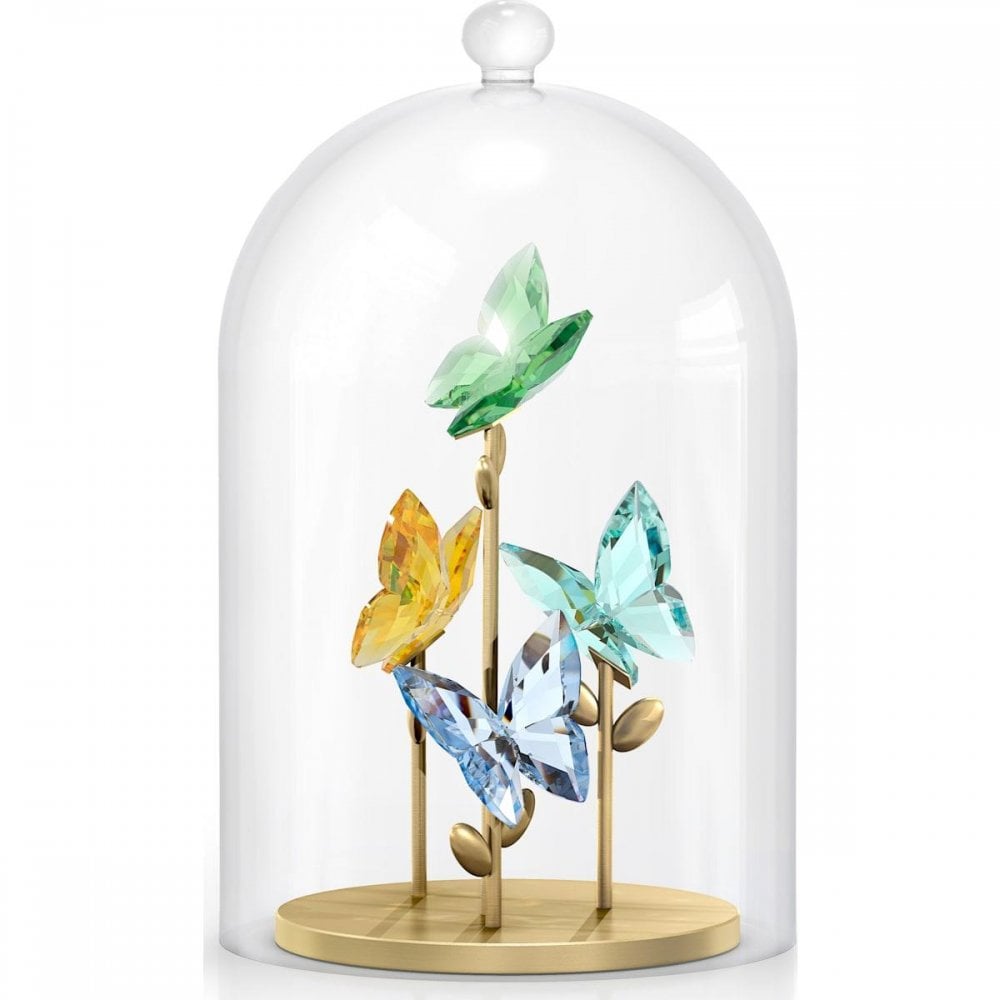 Jungle Beats Butterfly Bell Jar