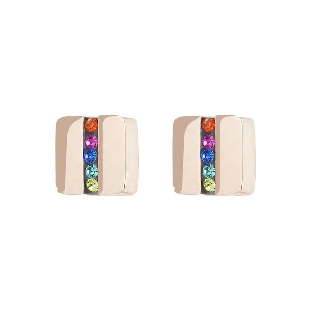 Multicolour Stud Earrings