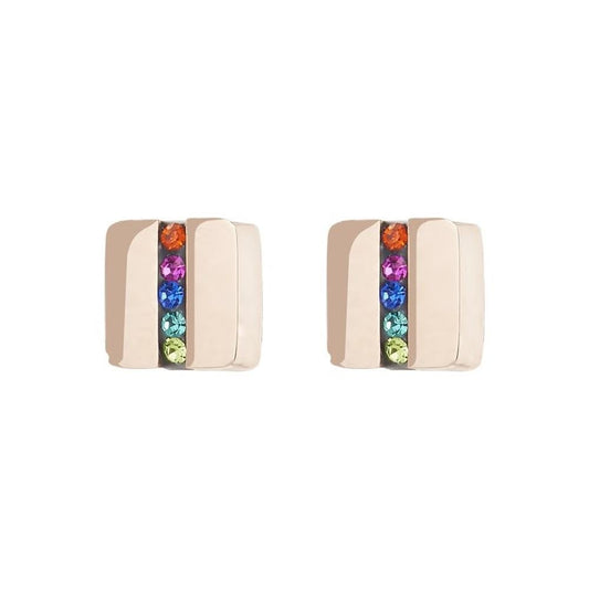 Multicolour Stud Earrings
