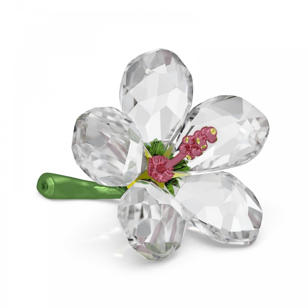 Swarovski Florere Hibiscus, Small