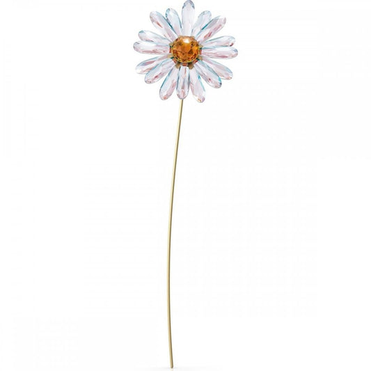 Swarovski Garden Tales – Daisy