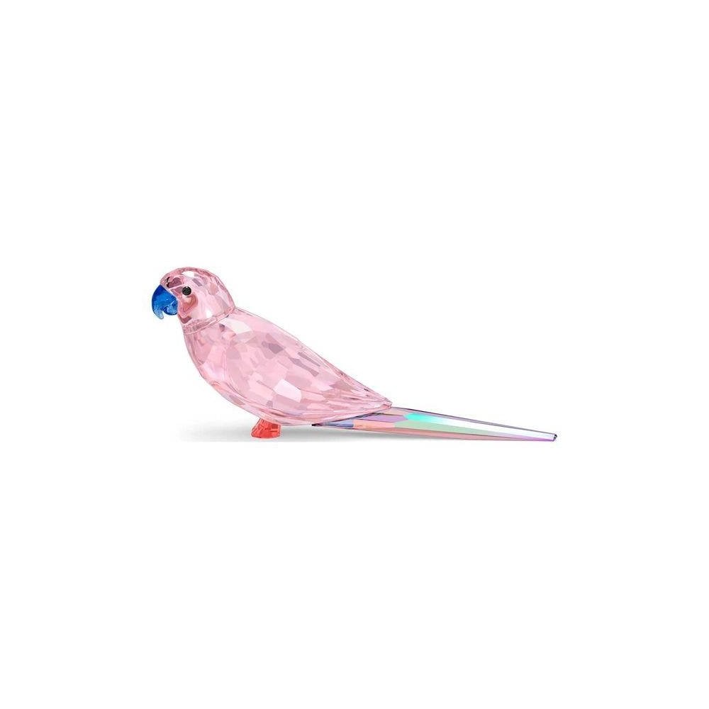 Swarovski Jungle Beats Pink Parakeet