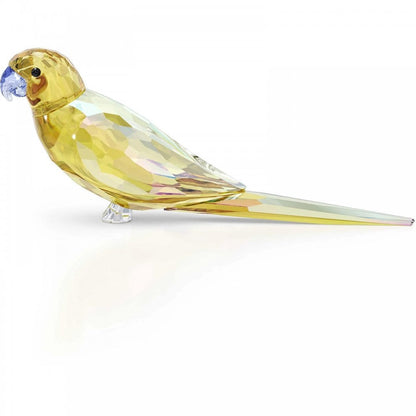 Swarovski Jungle Beats Yellow Parakeet