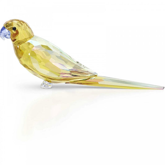 Swarovski Jungle Beats Yellow Parakeet