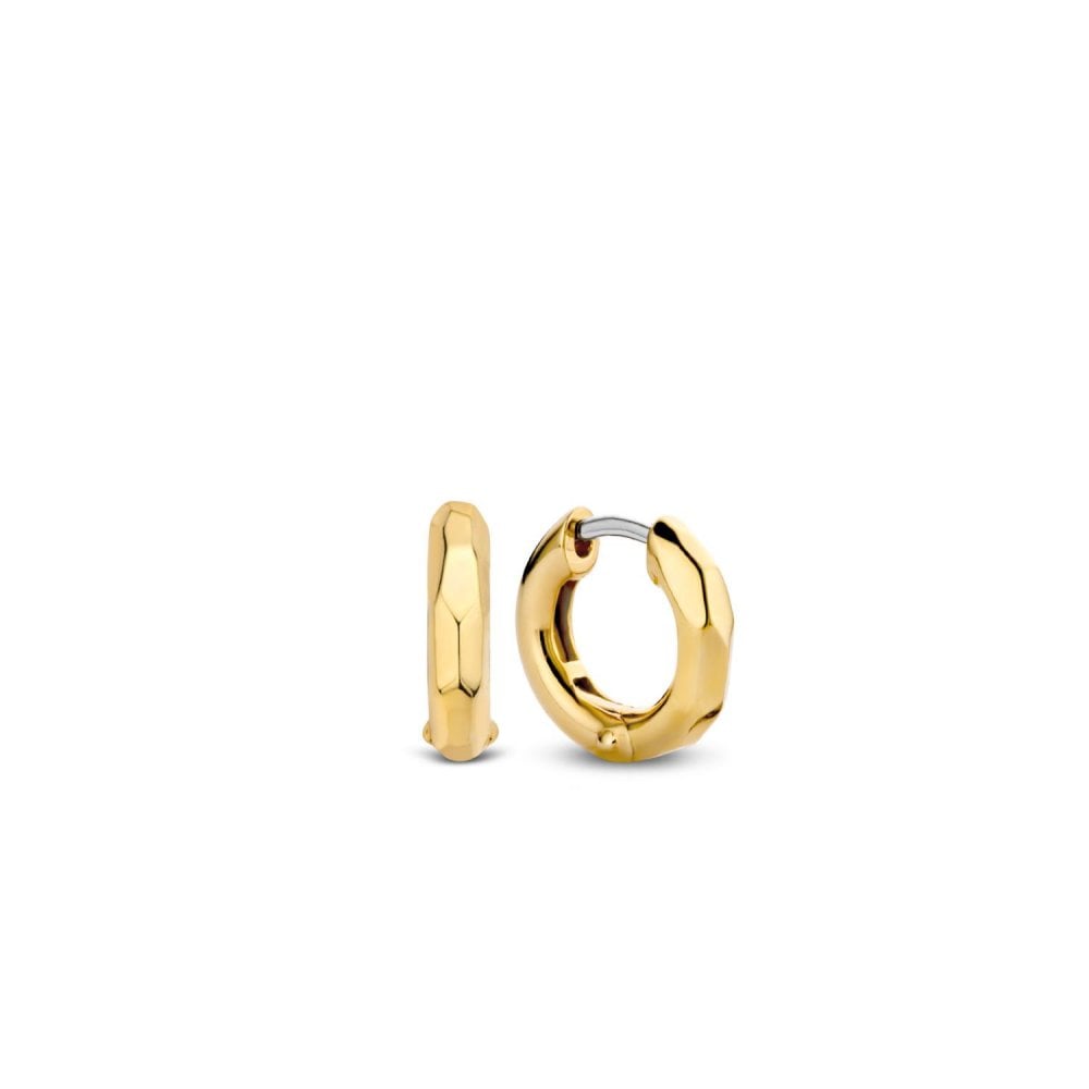 TI SENTO Earrings Gilded LNA